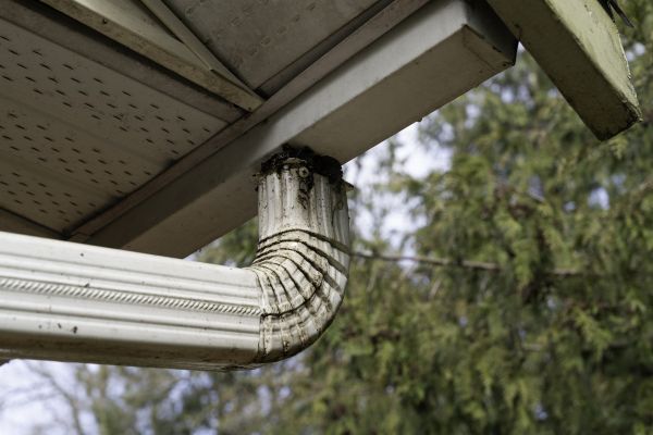 Cost of Roof Drain Replacement in Clearfield